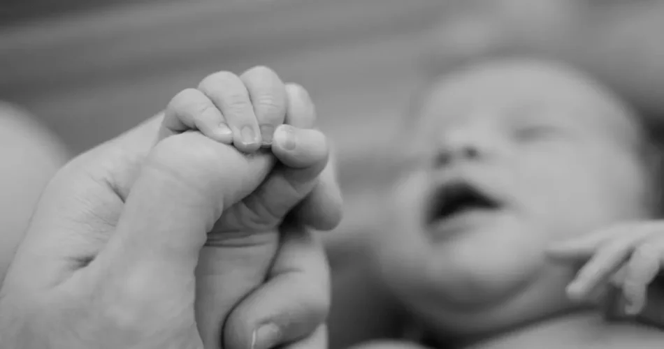 Confira neste artigo se o Carrinho de Bebe Compacto Oppa Litet é o ideal para o seu bebê