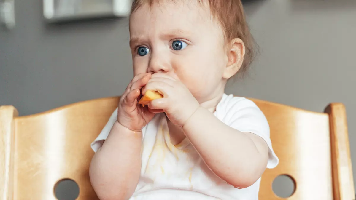 Confira a melhor lista da internet com os Melhores Carrinhos de Bebê 3 em 1 do mercado